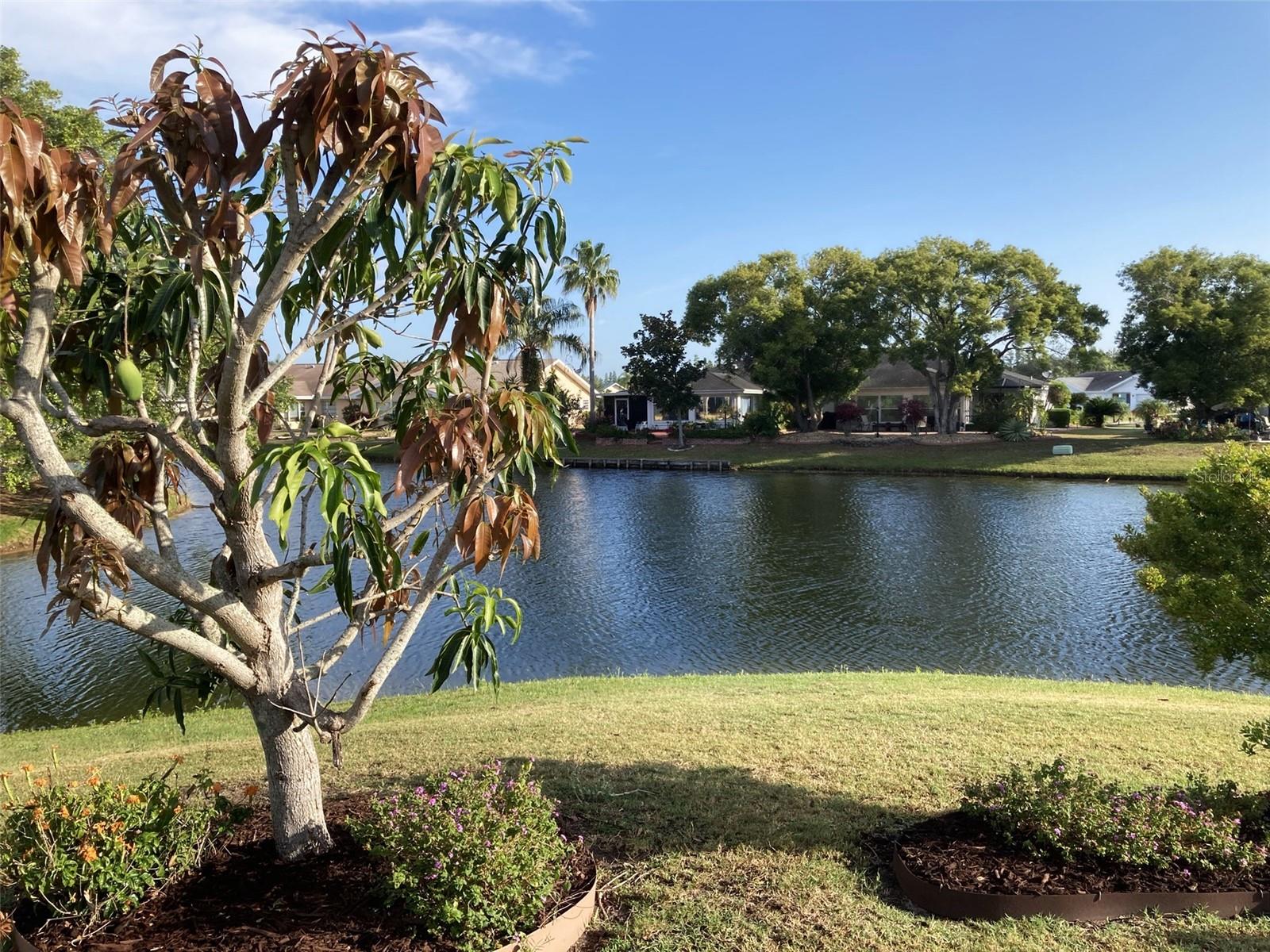 1505 CLOISTER DR, SUN CITY CENTER, FL, 33573