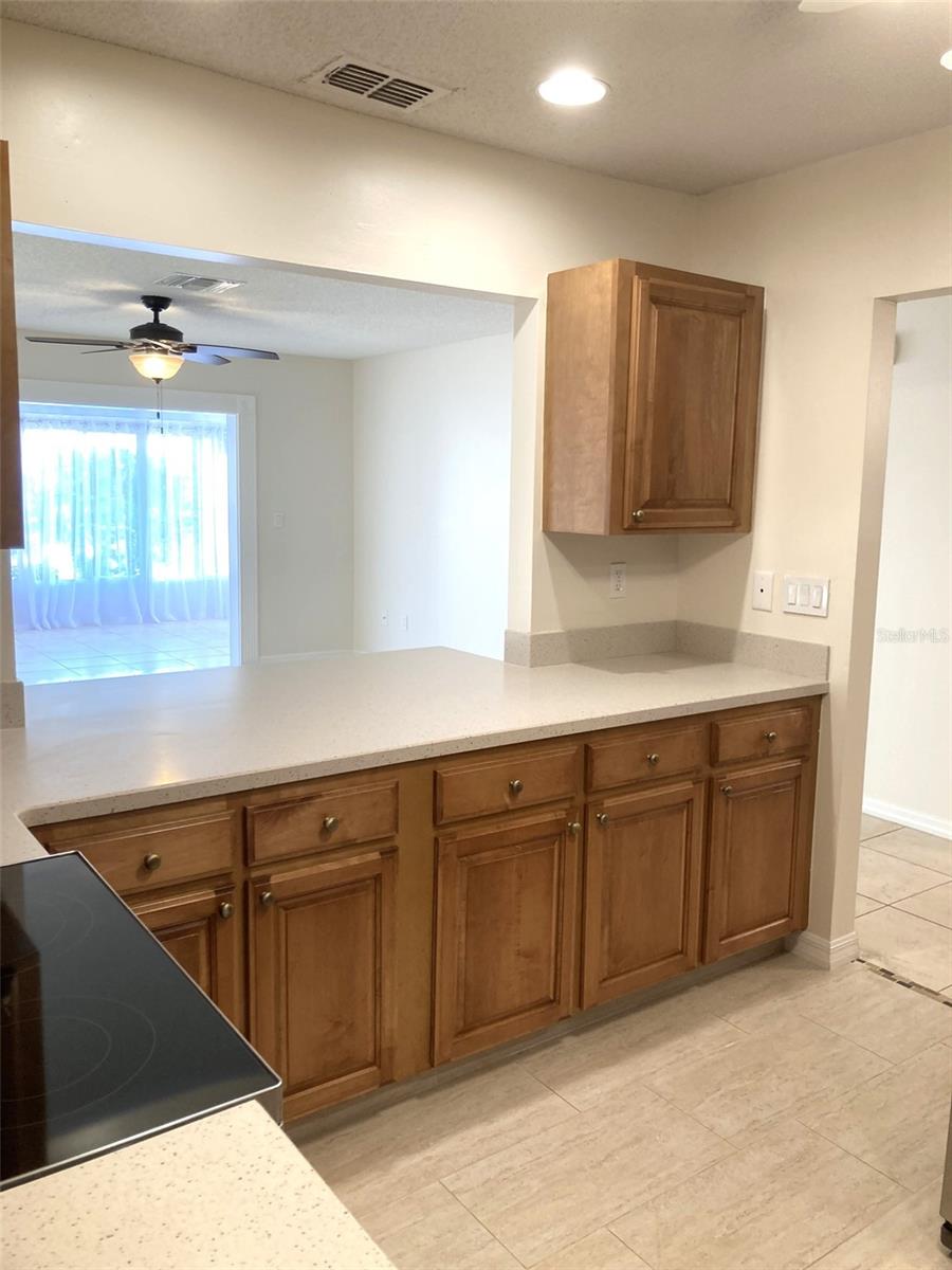 1505 CLOISTER DR, SUN CITY CENTER, FL, 33573