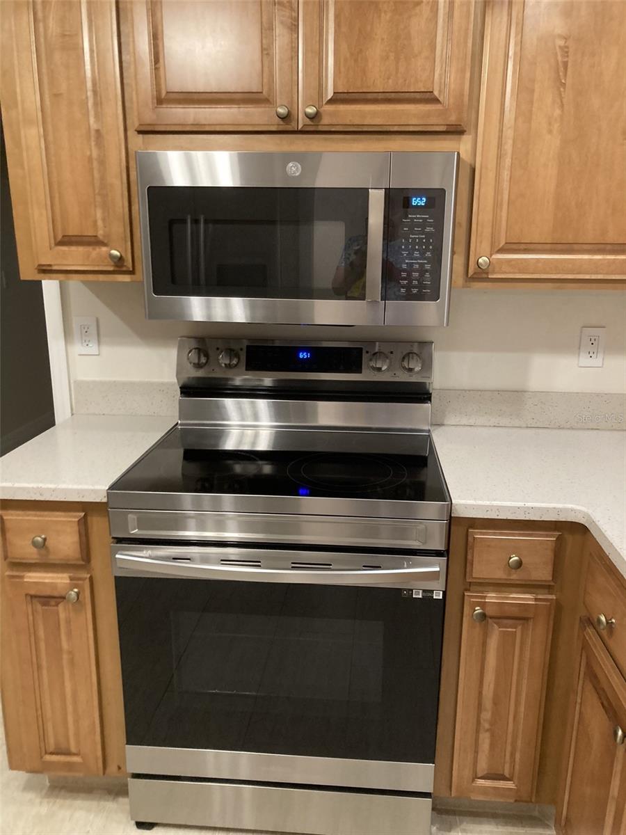1505 CLOISTER DR, SUN CITY CENTER, FL, 33573