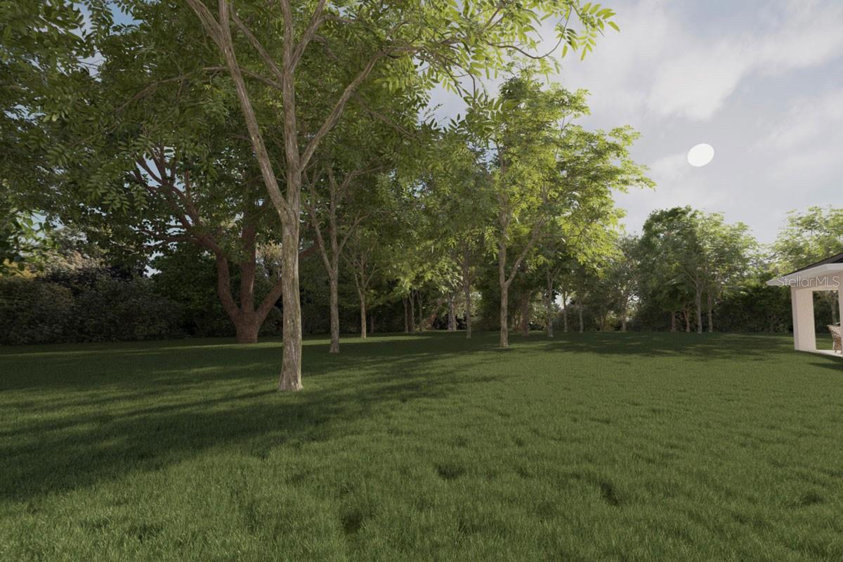 TBD GUAVA TERRACE LOOP, OCKLAWAHA, FL, 32179