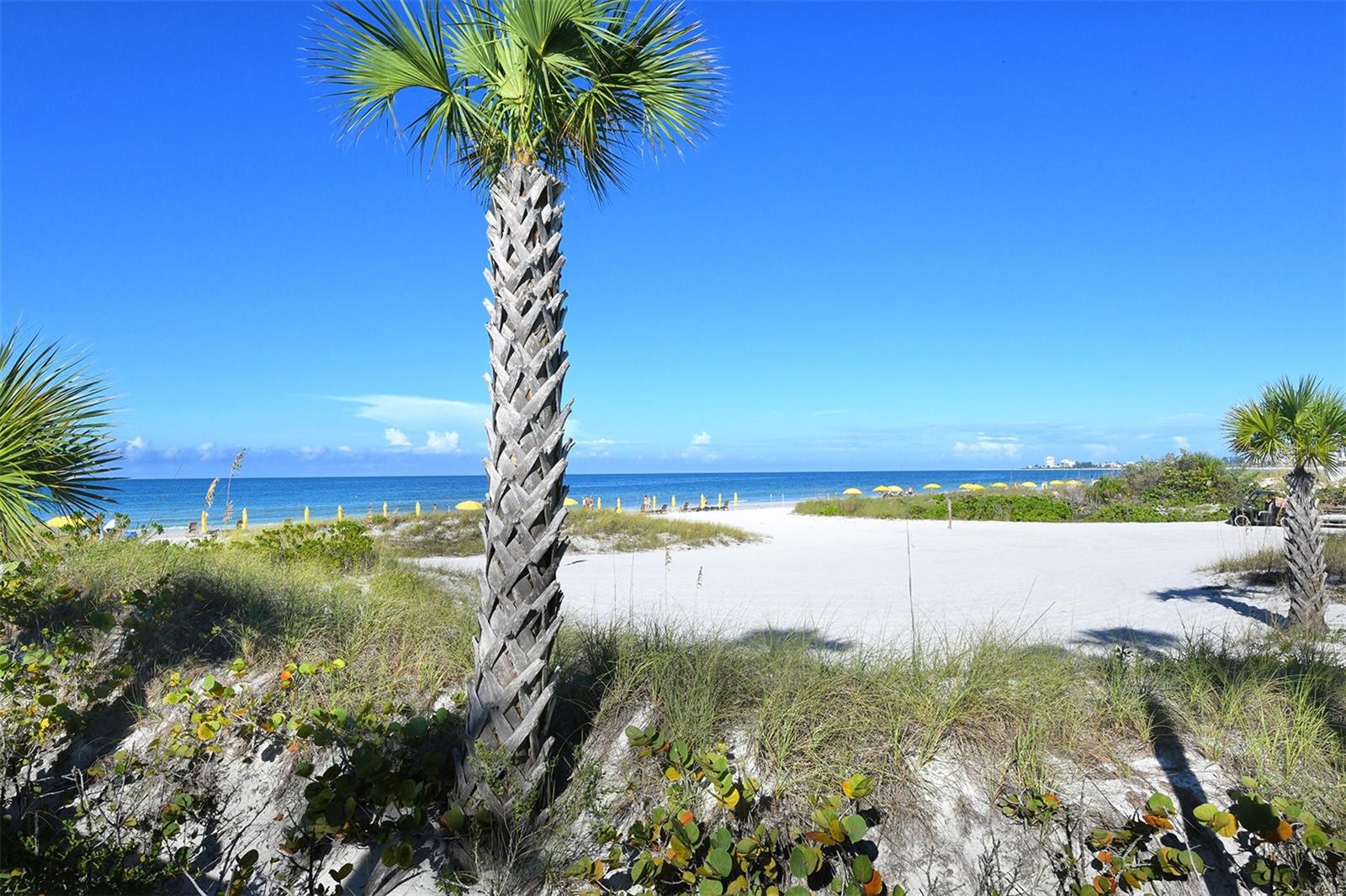 915 SEASIDE DR #607, Weeks 14-15, SARASOTA, FL, 34242