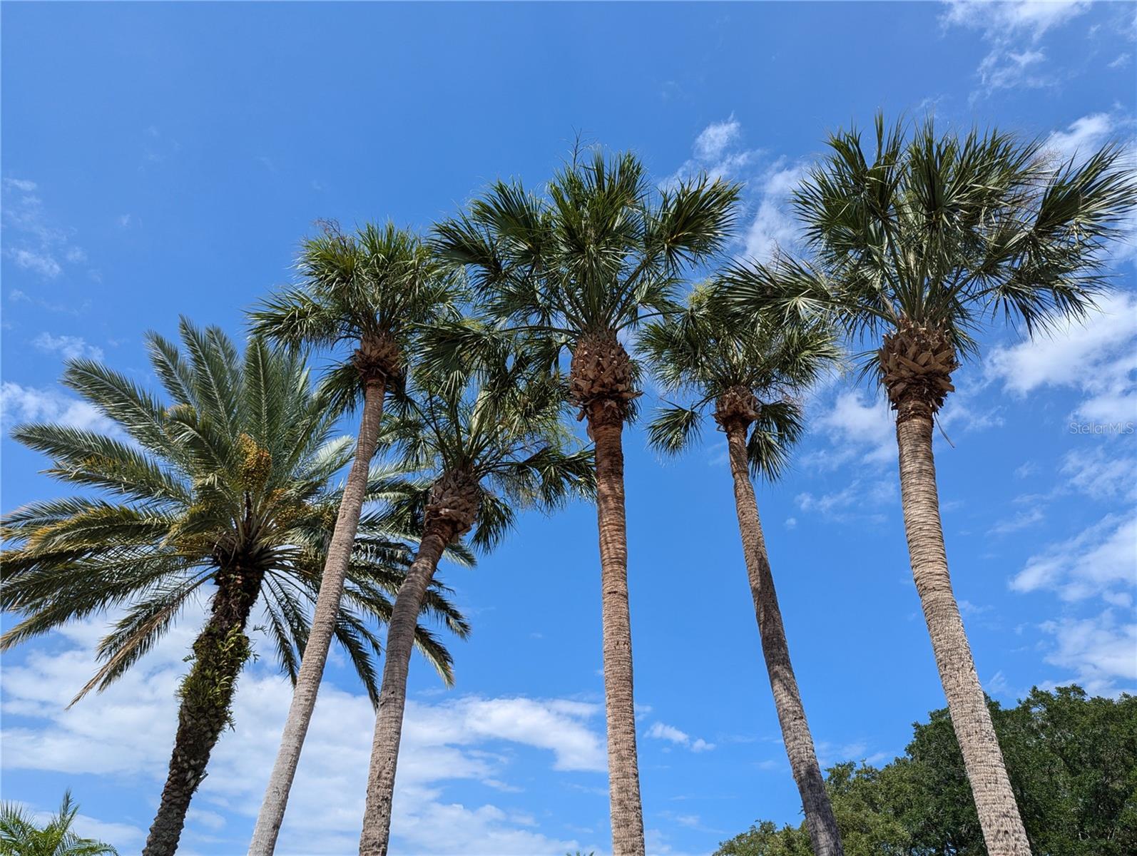 1964 LAKE ATRIUMS CIR #162, ORLANDO, FL, 32839