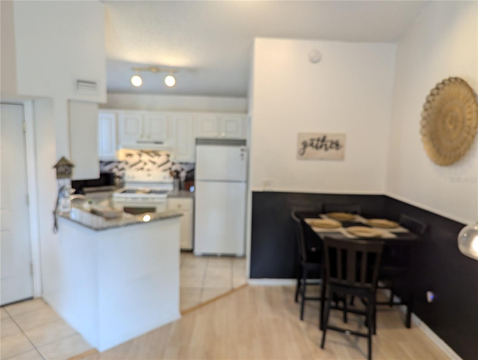 1964 LAKE ATRIUMS CIR #162, ORLANDO, FL, 32839