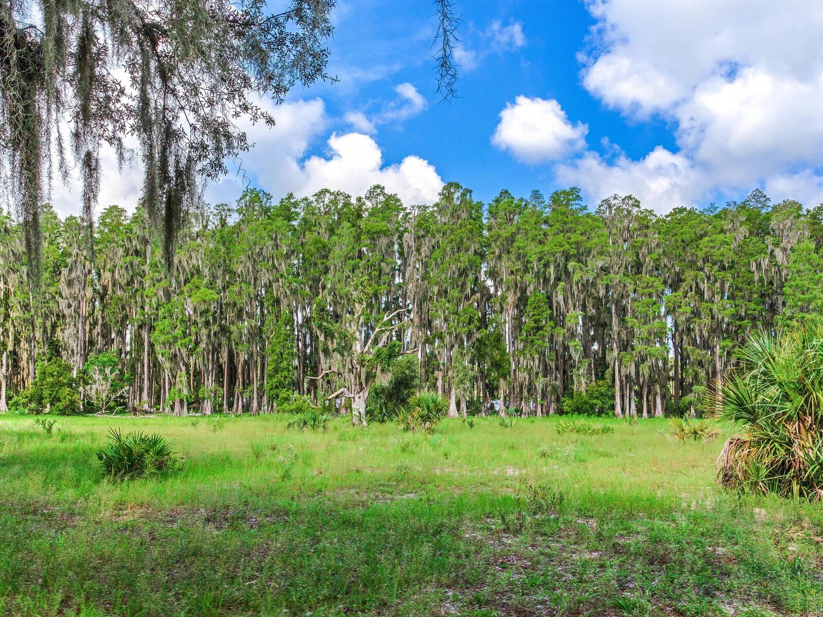 ALDERMAN TURNER ROAD RD, WIMAUMA, FL, 33598