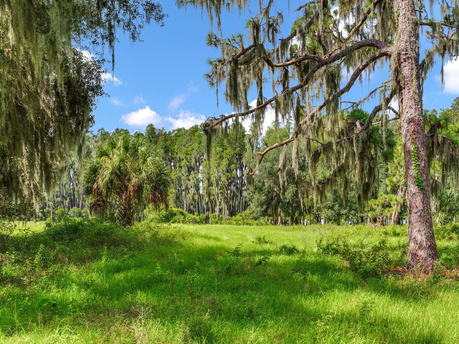 ALDERMAN TURNER ROAD RD, WIMAUMA, FL, 33598