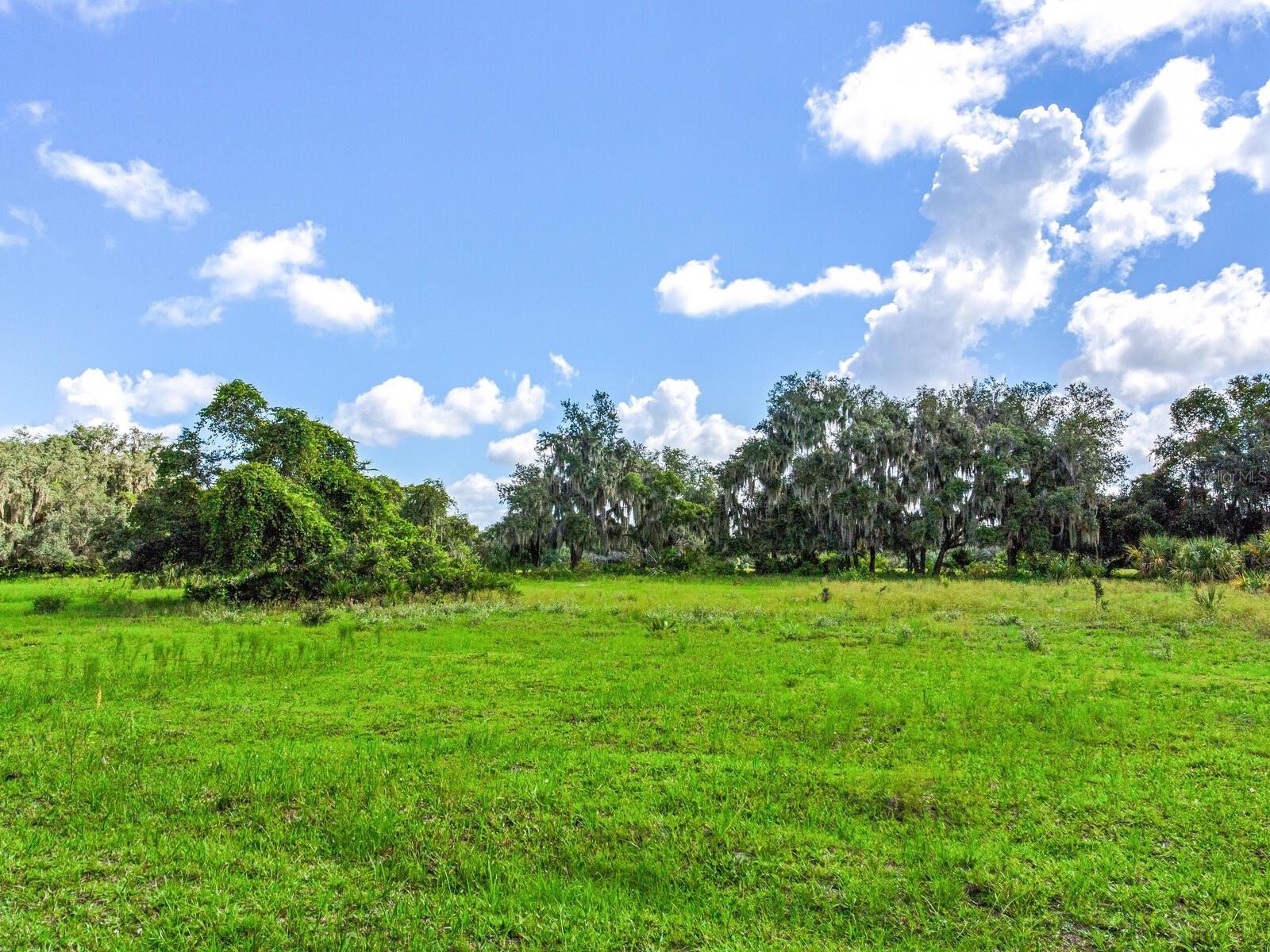ALDERMAN TURNER ROAD RD, WIMAUMA, FL, 33598