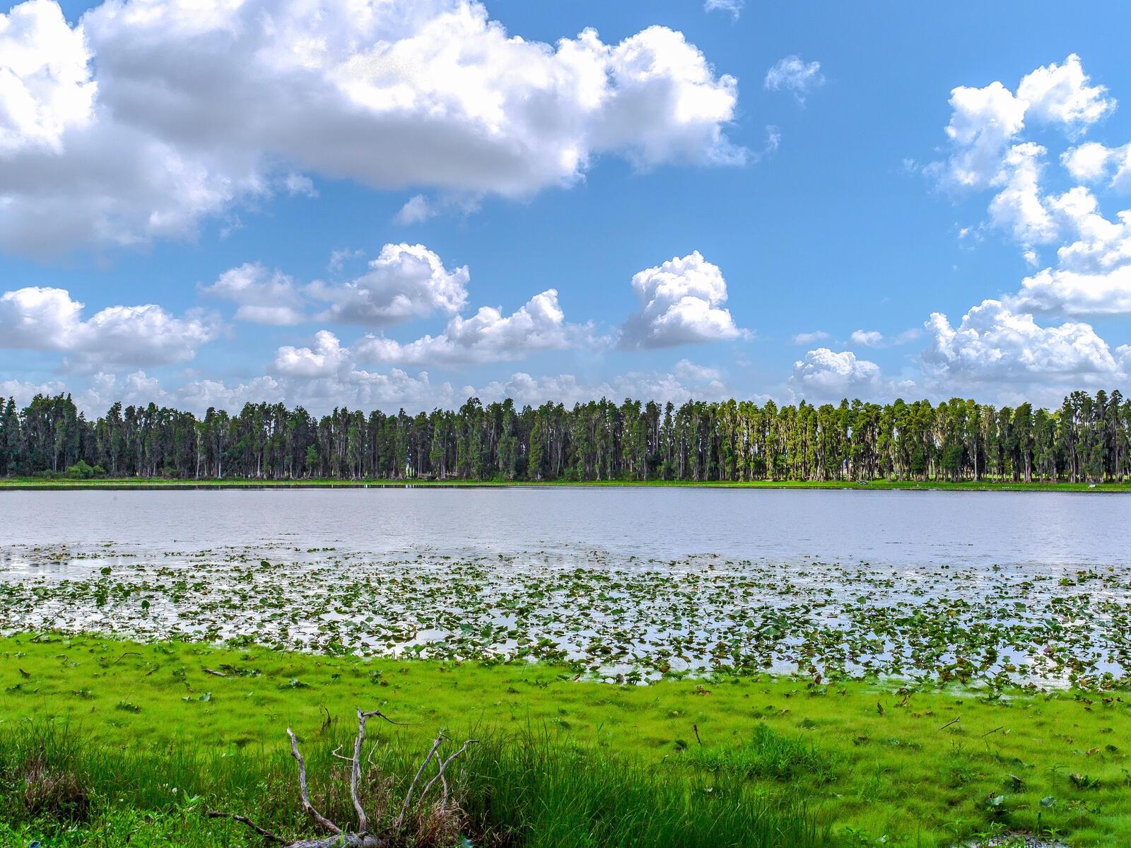 ALDERMAN TURNER ROAD RD, WIMAUMA, FL, 33598
