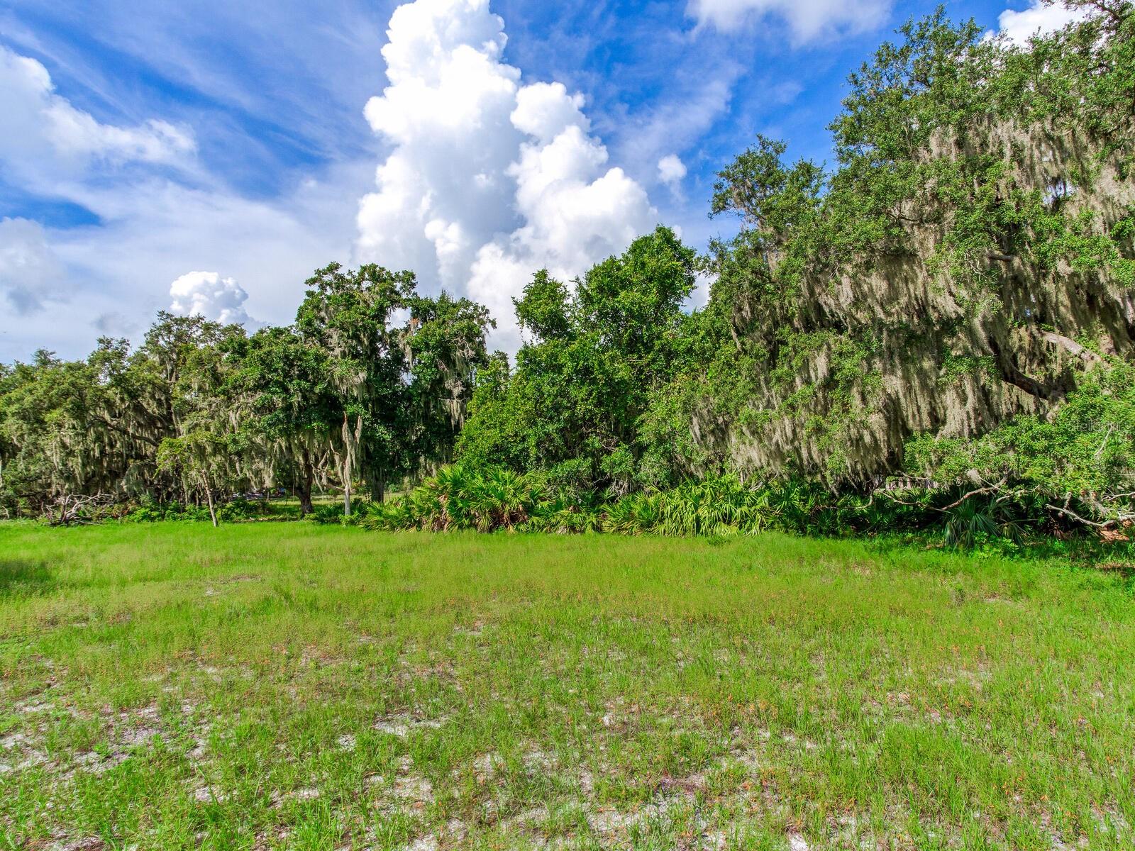 ALDERMAN TURNER ROAD RD, WIMAUMA, FL, 33598