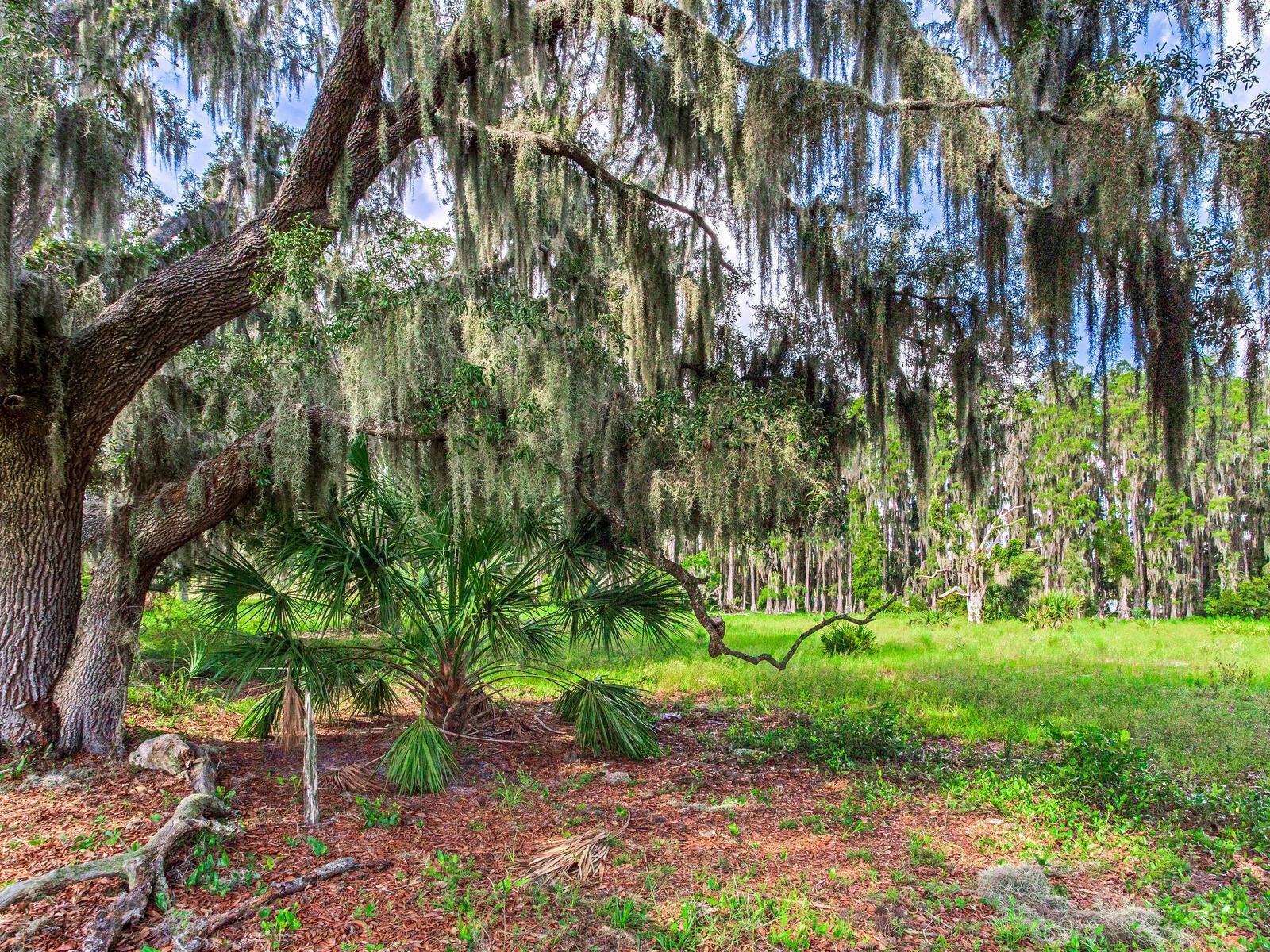 ALDERMAN TURNER ROAD RD, WIMAUMA, FL, 33598