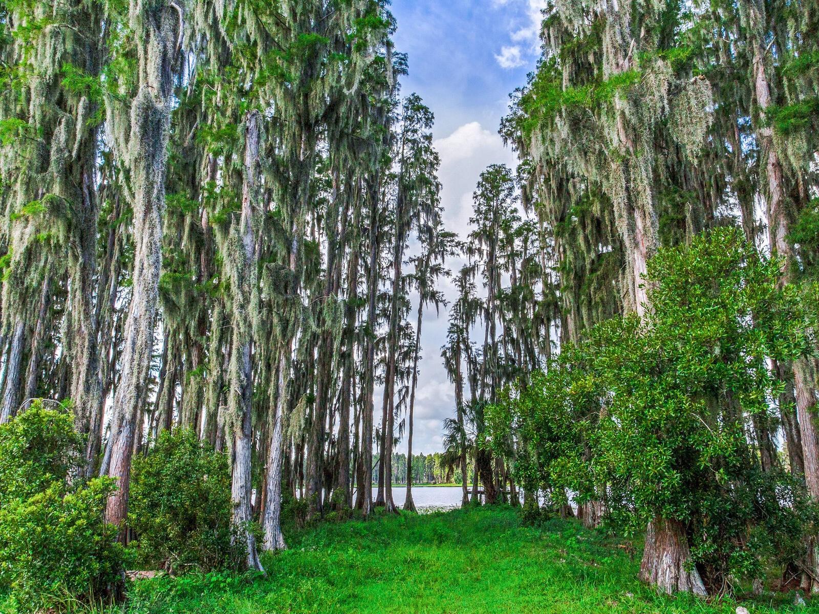 ALDERMAN TURNER ROAD RD, WIMAUMA, FL, 33598