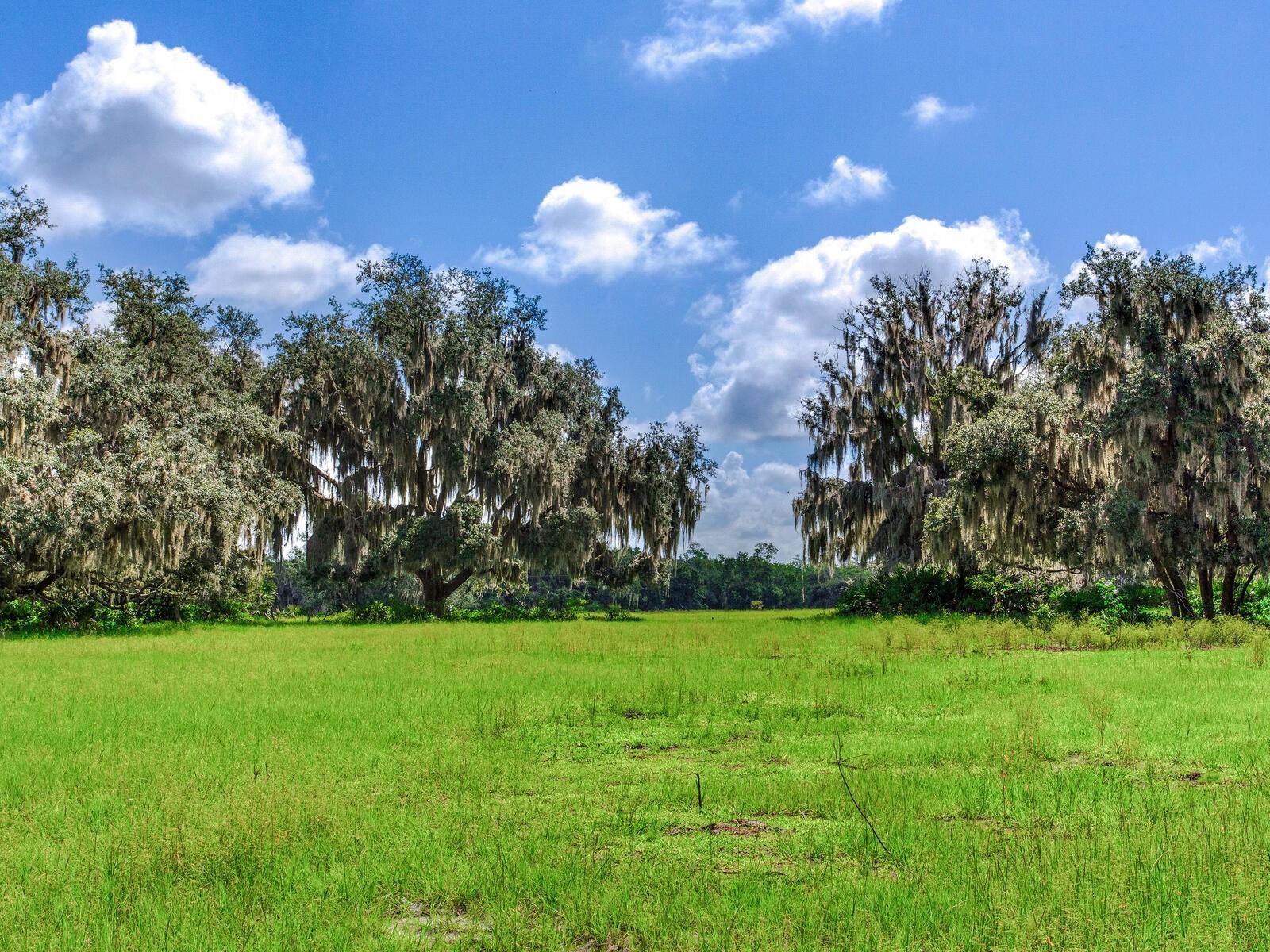 ALDERMAN TURNER ROAD RD, WIMAUMA, FL, 33598