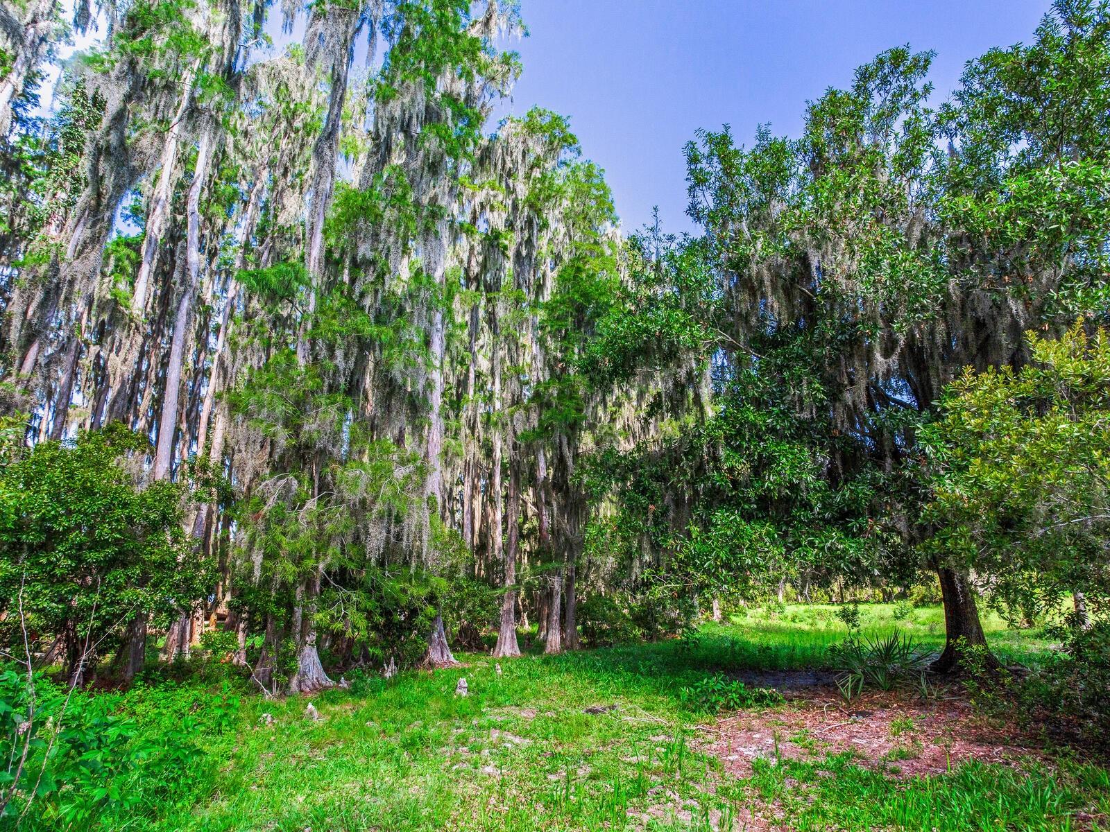 ALDERMAN TURNER ROAD RD, WIMAUMA, FL, 33598