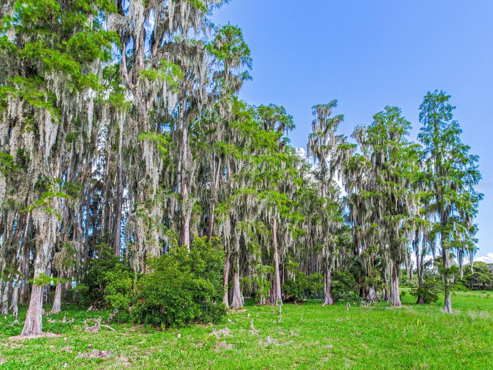 ALDERMAN TURNER ROAD RD, WIMAUMA, FL, 33598