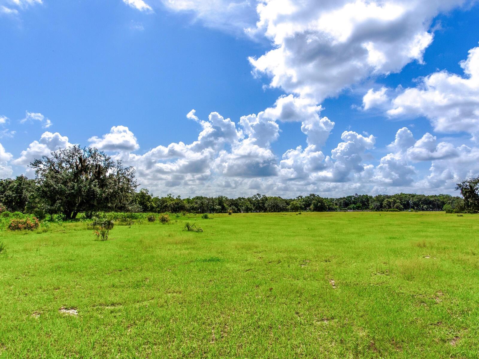 ALDERMAN TURNER ROAD RD, WIMAUMA, FL, 33598