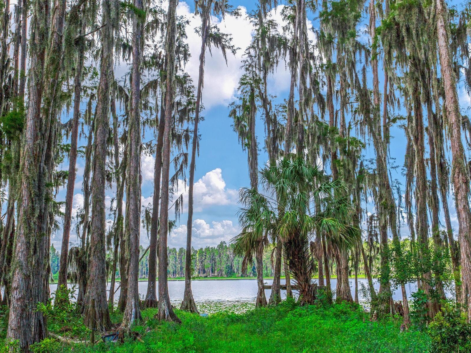 ALDERMAN TURNER ROAD RD, WIMAUMA, FL, 33598