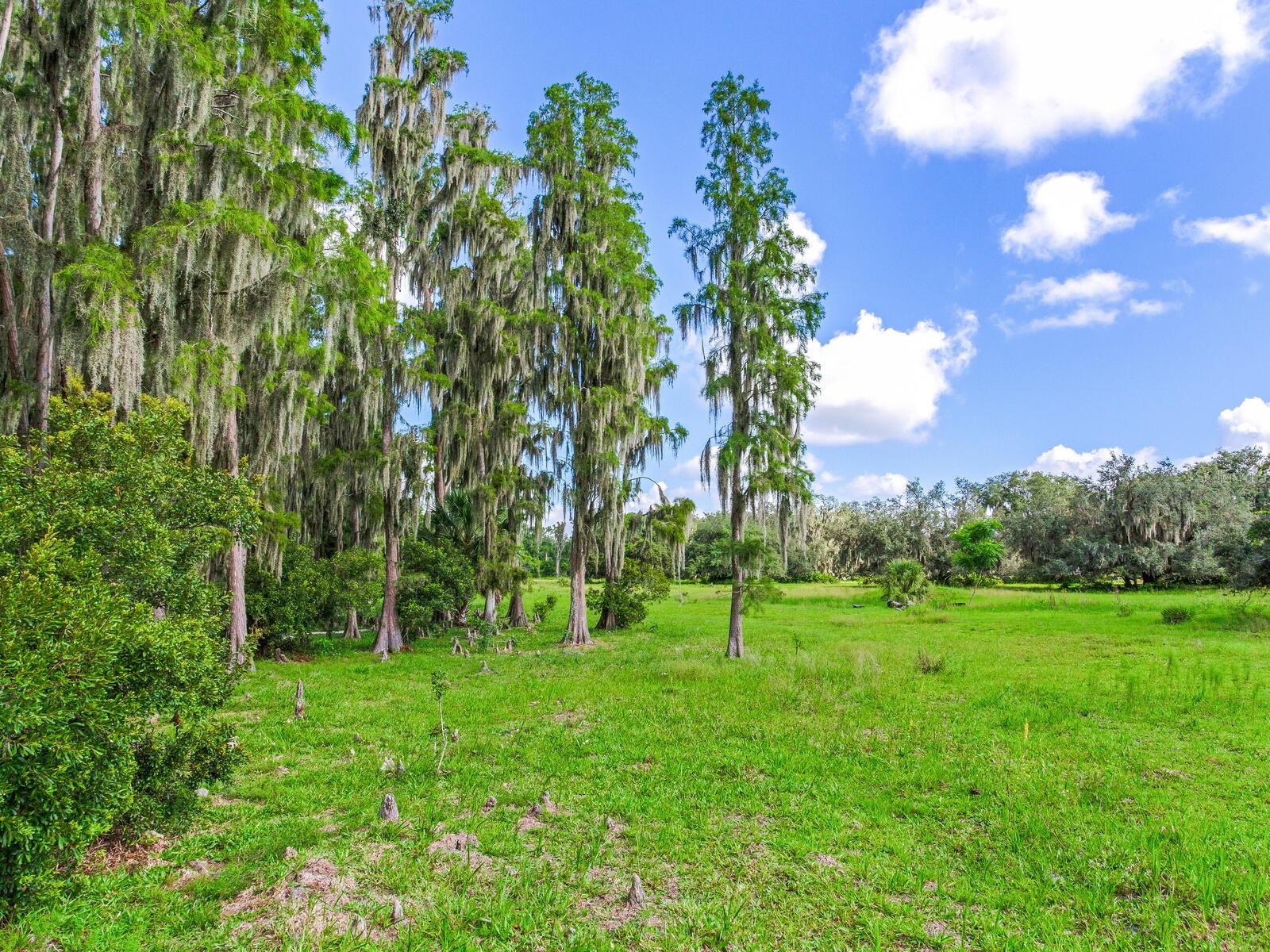 ALDERMAN TURNER ROAD RD, WIMAUMA, FL, 33598