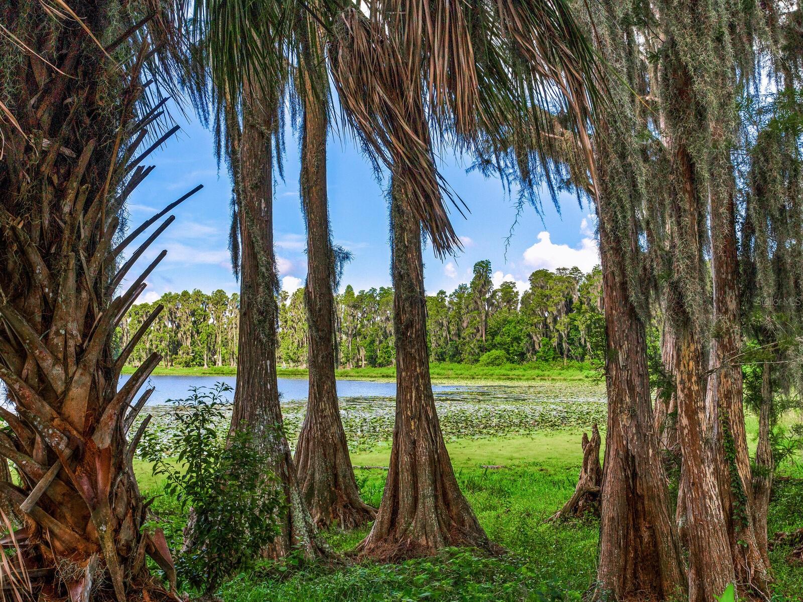 ALDERMAN TURNER ROAD RD, WIMAUMA, FL, 33598