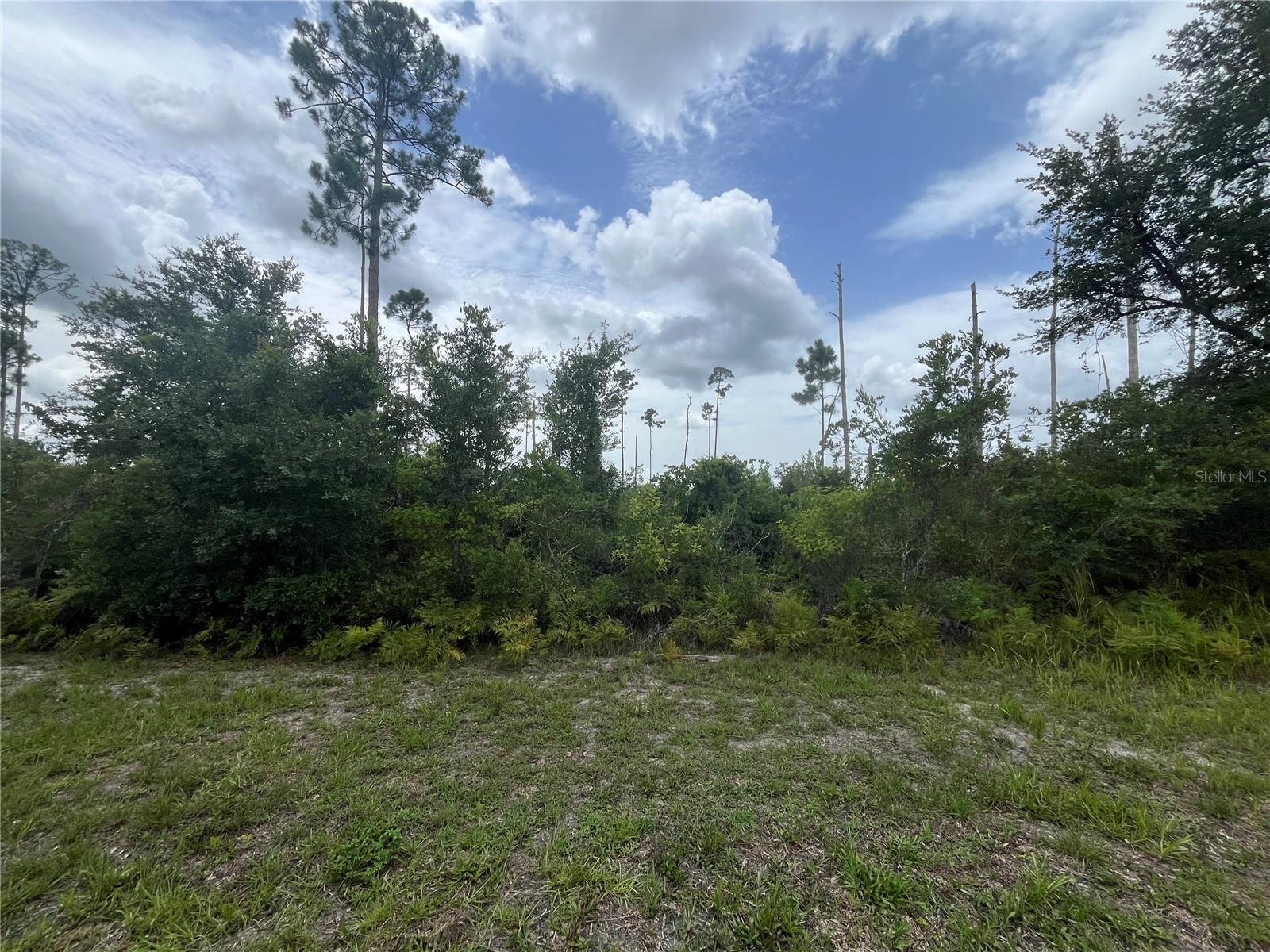 109 ALBA DR, INDIAN LAKE ESTATES, FL, 33855