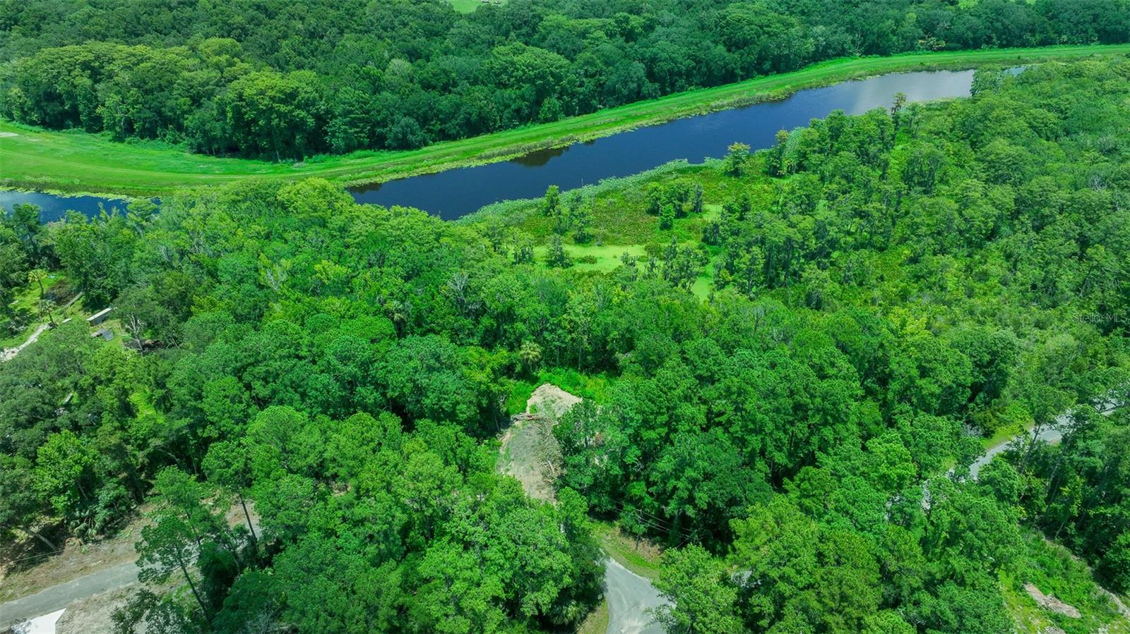 16535 SE 100TH PL, OCKLAWAHA, FL, 32179