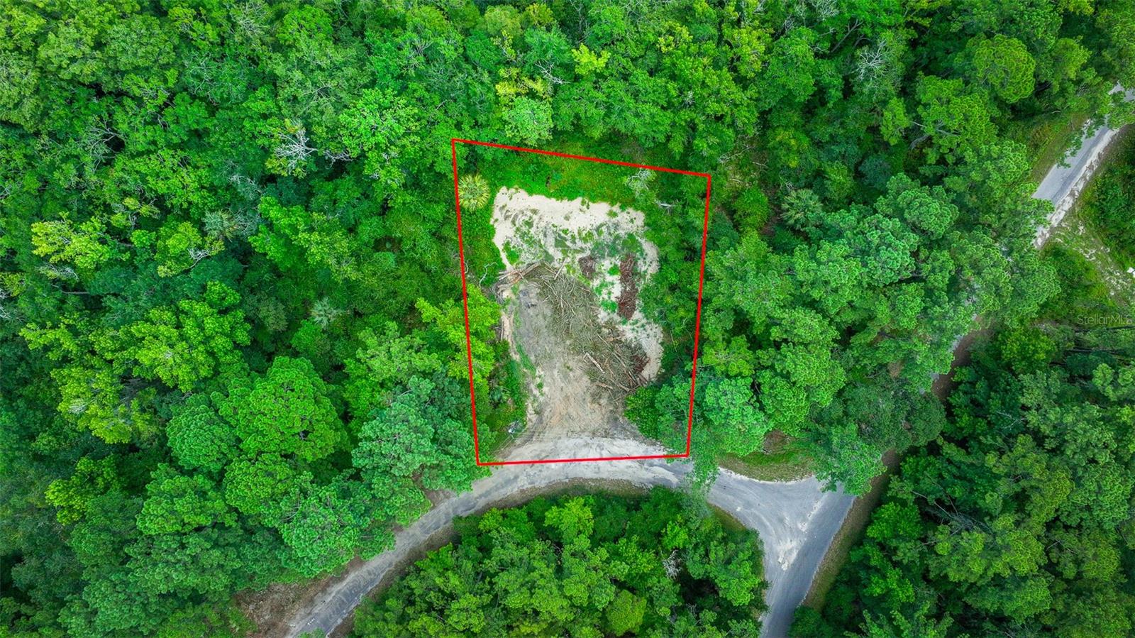 16535 SE 100TH PL, OCKLAWAHA, FL, 32179