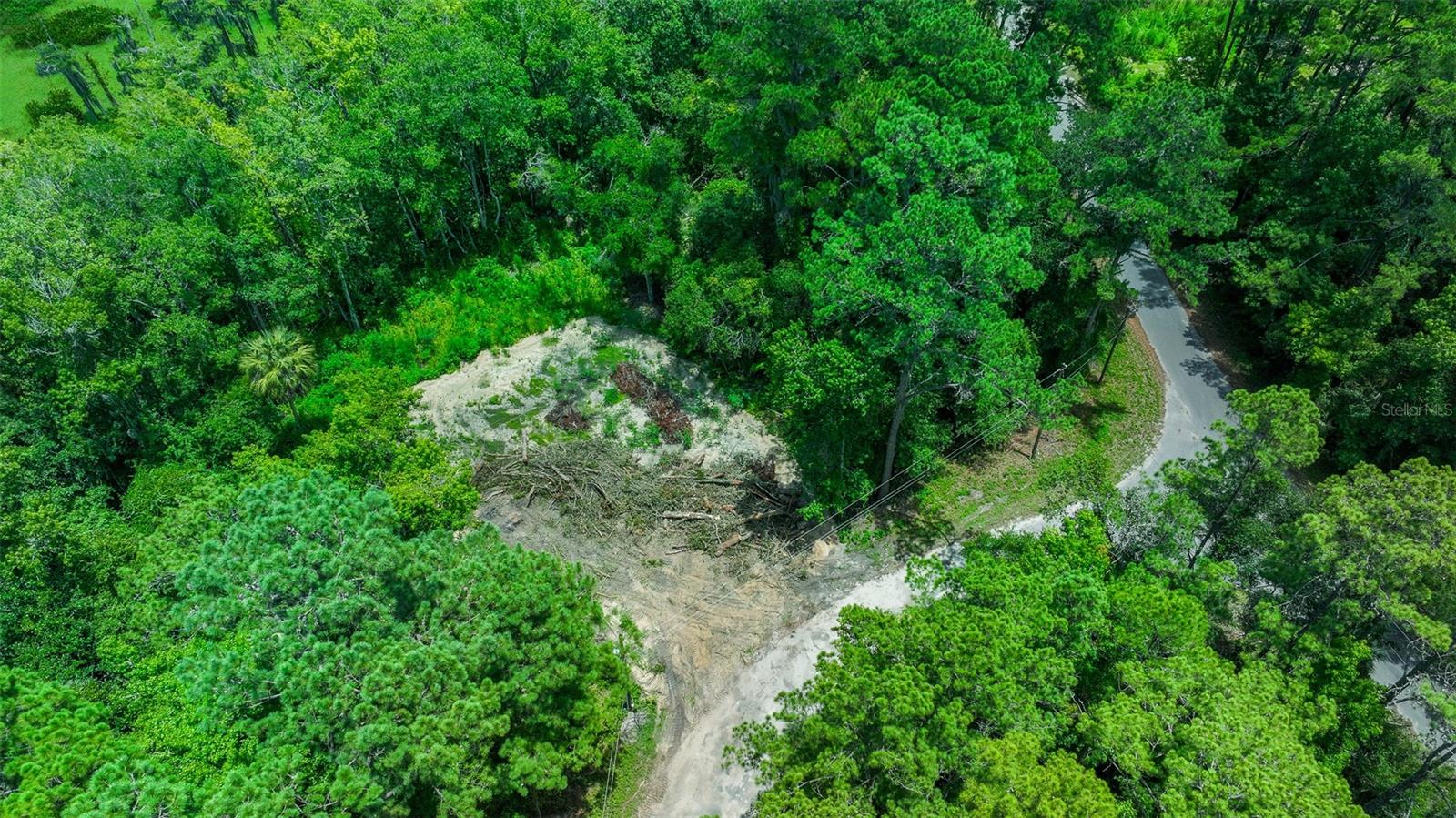16535 SE 100TH PL, OCKLAWAHA, FL, 32179