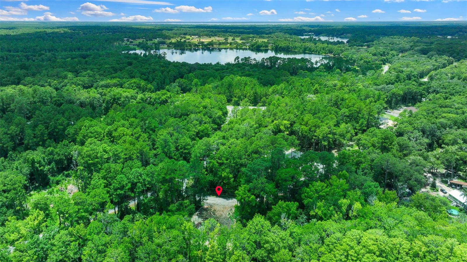 16535 SE 100TH PL, OCKLAWAHA, FL, 32179