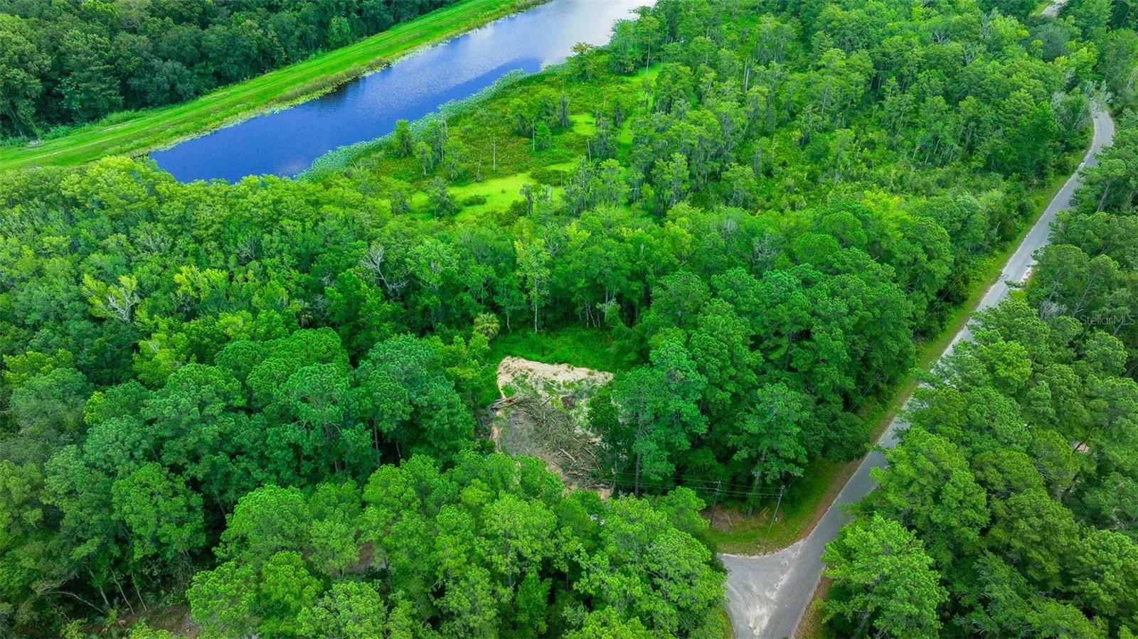 16535 SE 100TH PL, OCKLAWAHA, FL, 32179