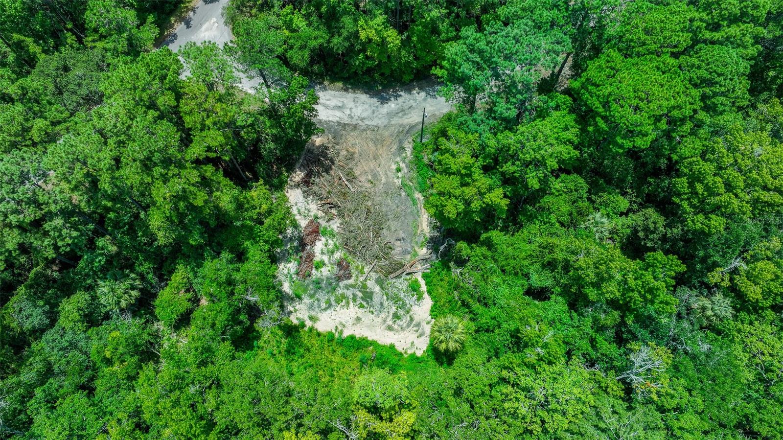 16535 SE 100TH PL, OCKLAWAHA, FL, 32179