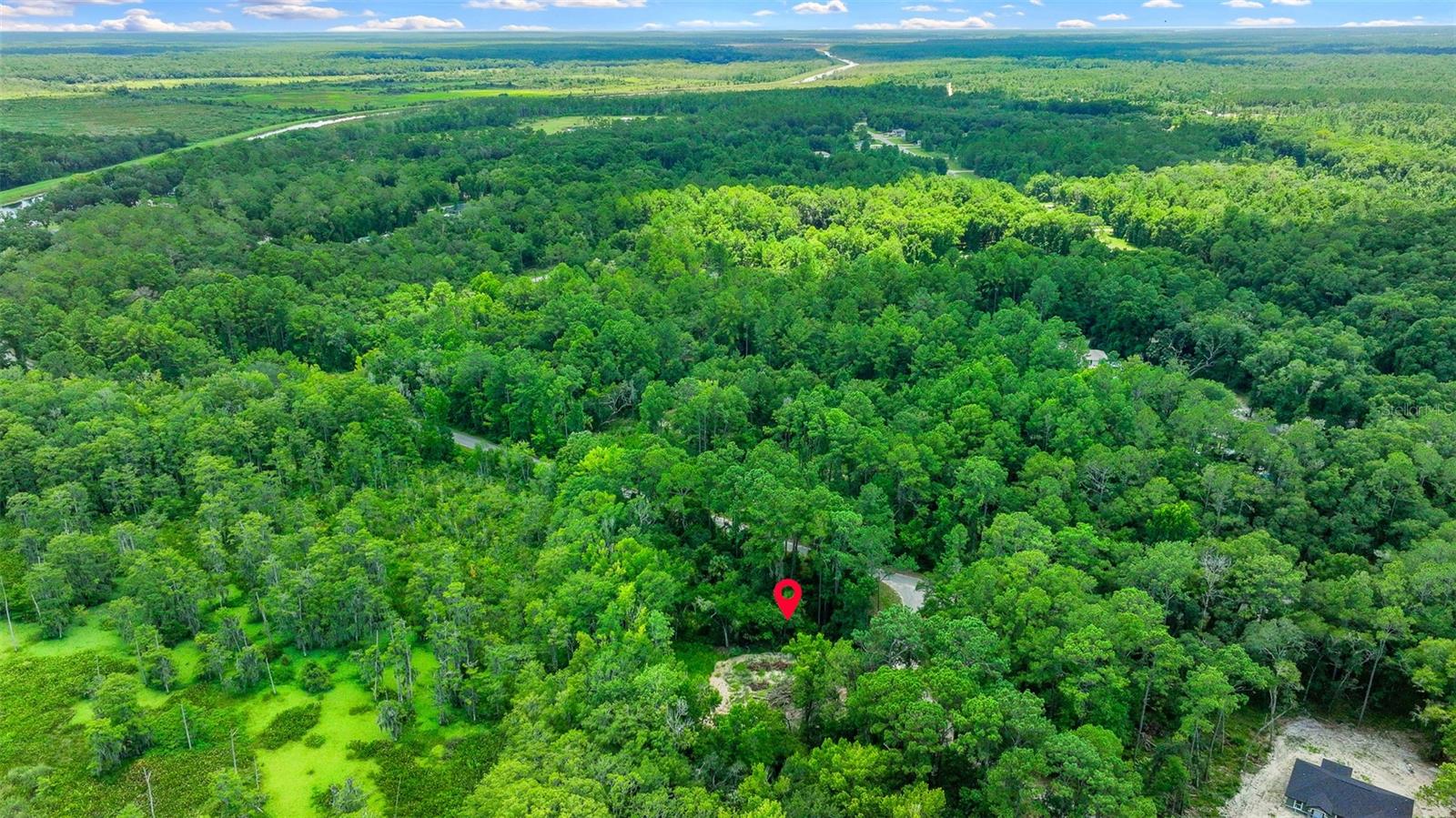 16535 SE 100TH PL, OCKLAWAHA, FL, 32179