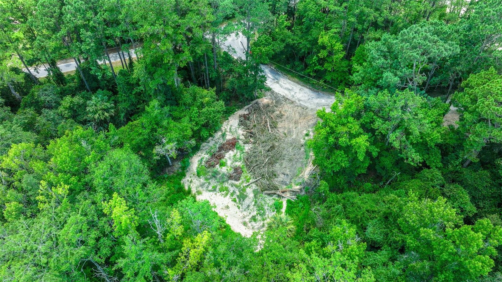 16535 SE 100TH PL, OCKLAWAHA, FL, 32179