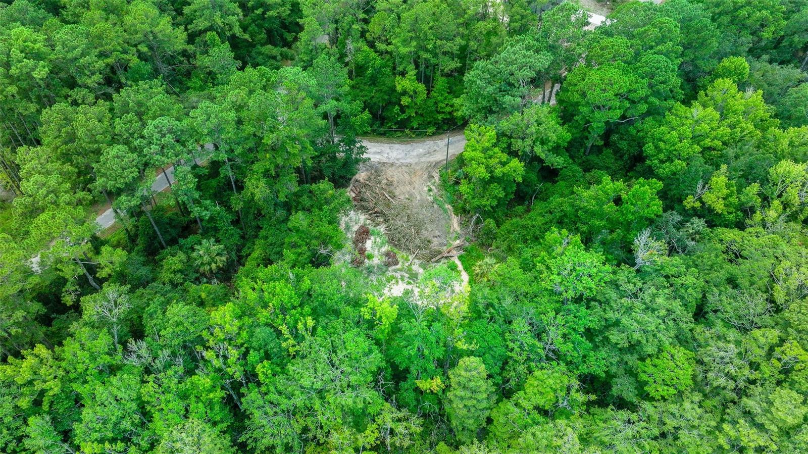 16535 SE 100TH PL, OCKLAWAHA, FL, 32179