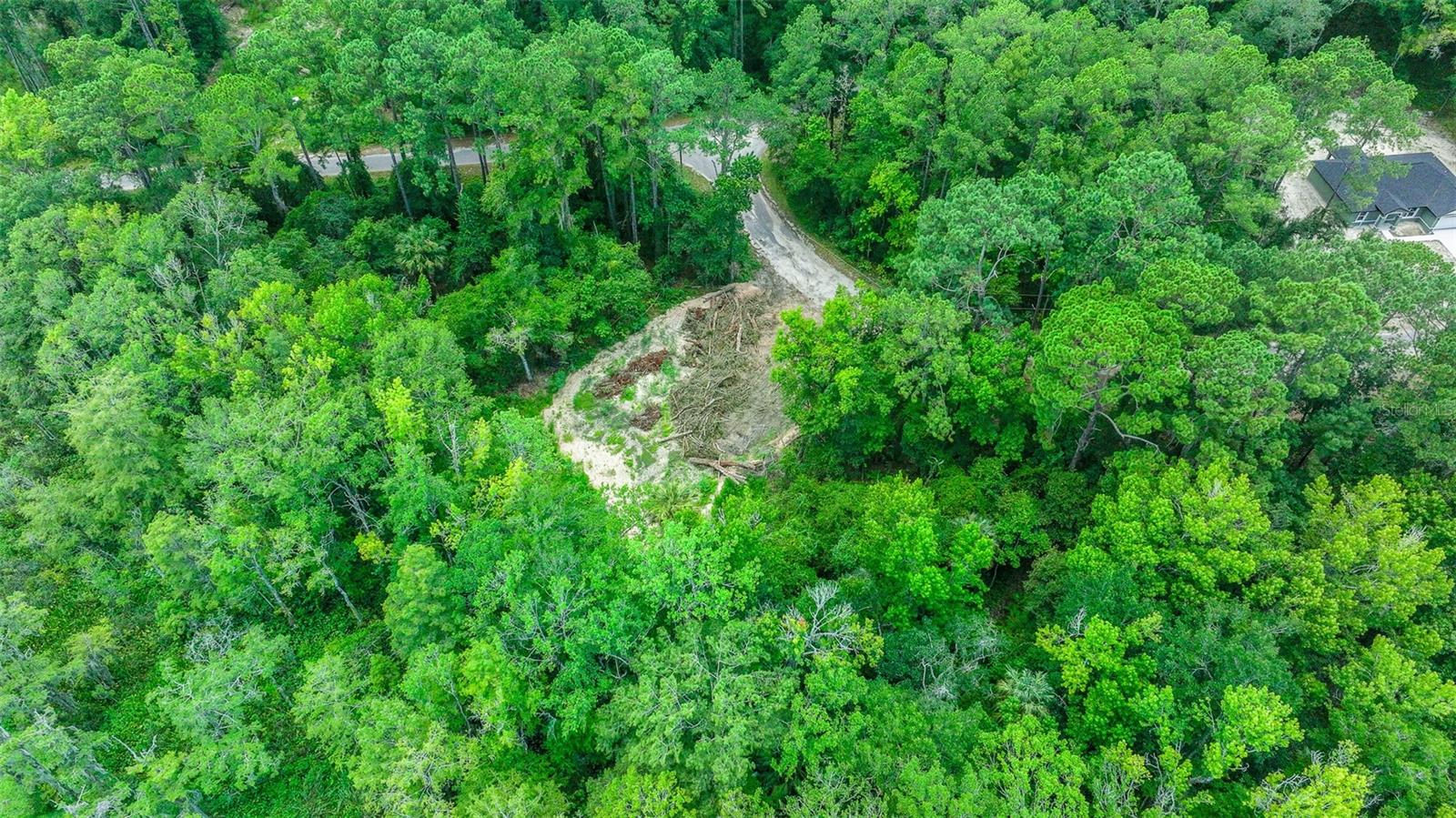 16535 SE 100TH PL, OCKLAWAHA, FL, 32179