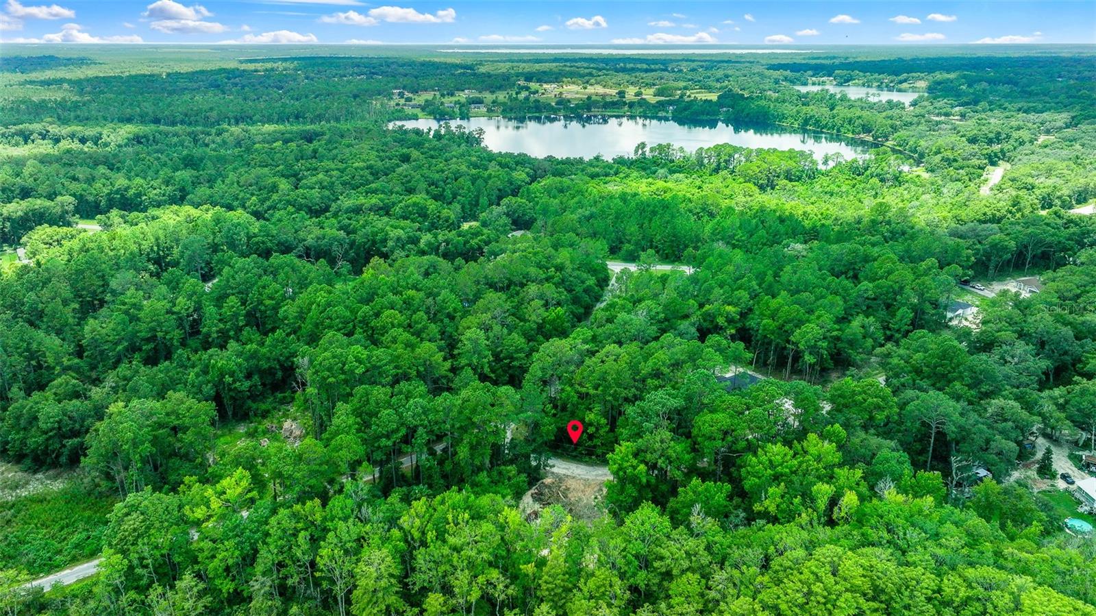 16535 SE 100TH PL, OCKLAWAHA, FL, 32179