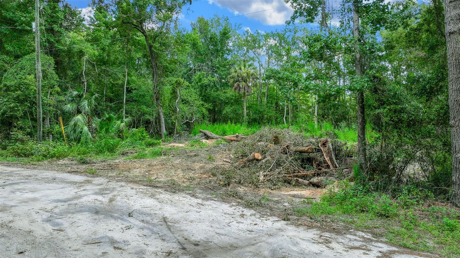 16535 SE 100TH PL, OCKLAWAHA, FL, 32179