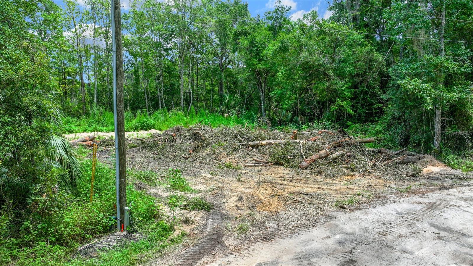 16535 SE 100TH PL, OCKLAWAHA, FL, 32179