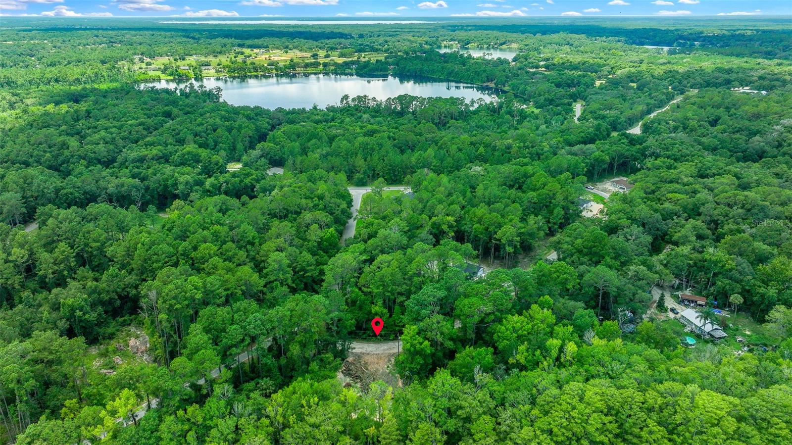 16535 SE 100TH PL, OCKLAWAHA, FL, 32179