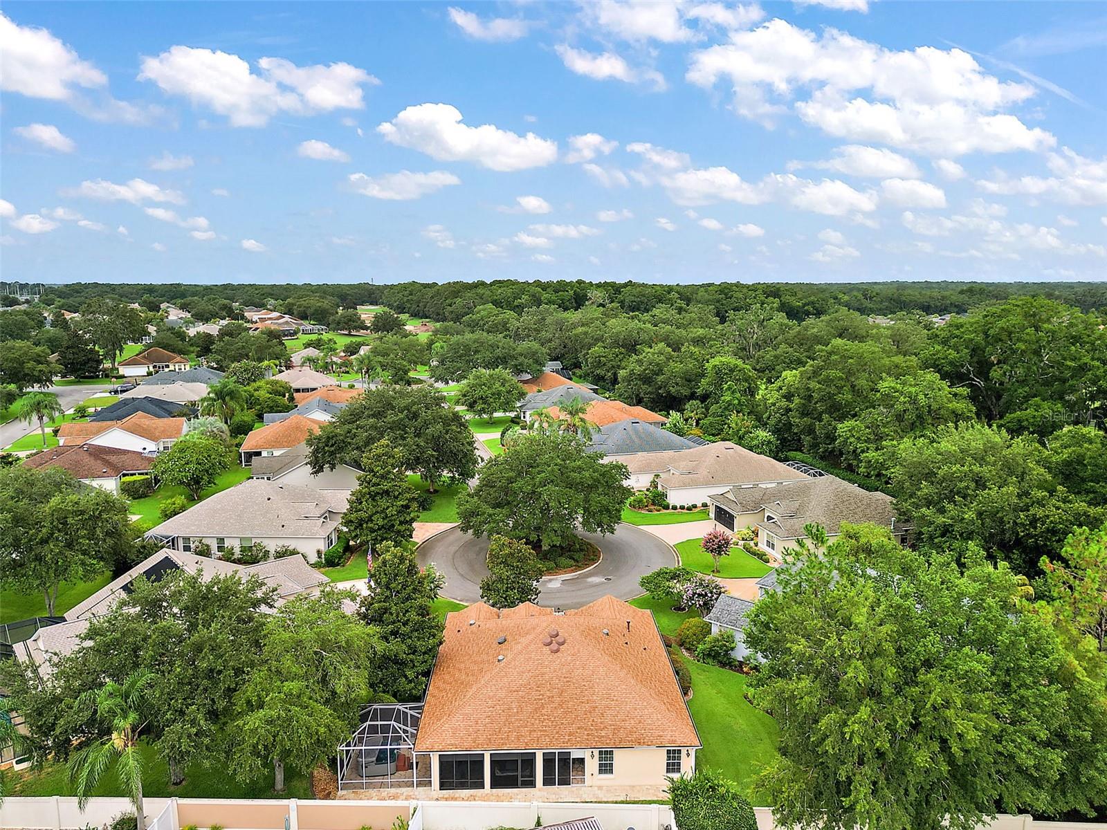 17000 SE 76TH CREEKSIDE CIR, THE VILLAGES, FL, 32162