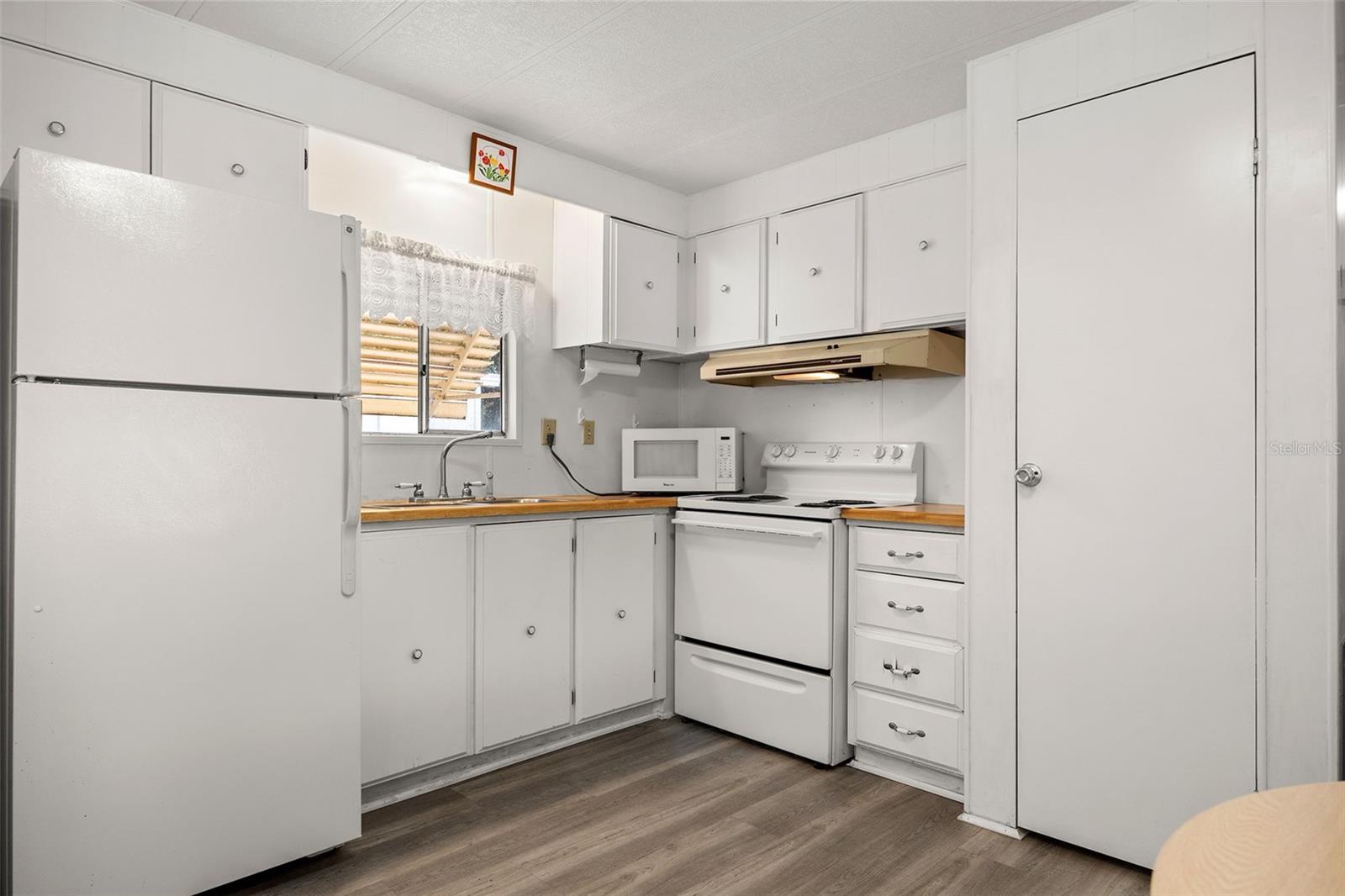 149 MALAYON WAY, LEESBURG, FL, 34788