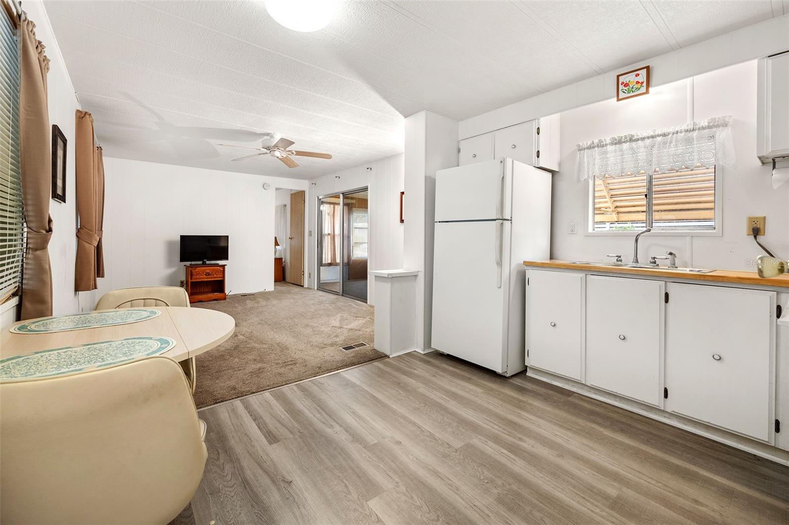 149 MALAYON WAY, LEESBURG, FL, 34788