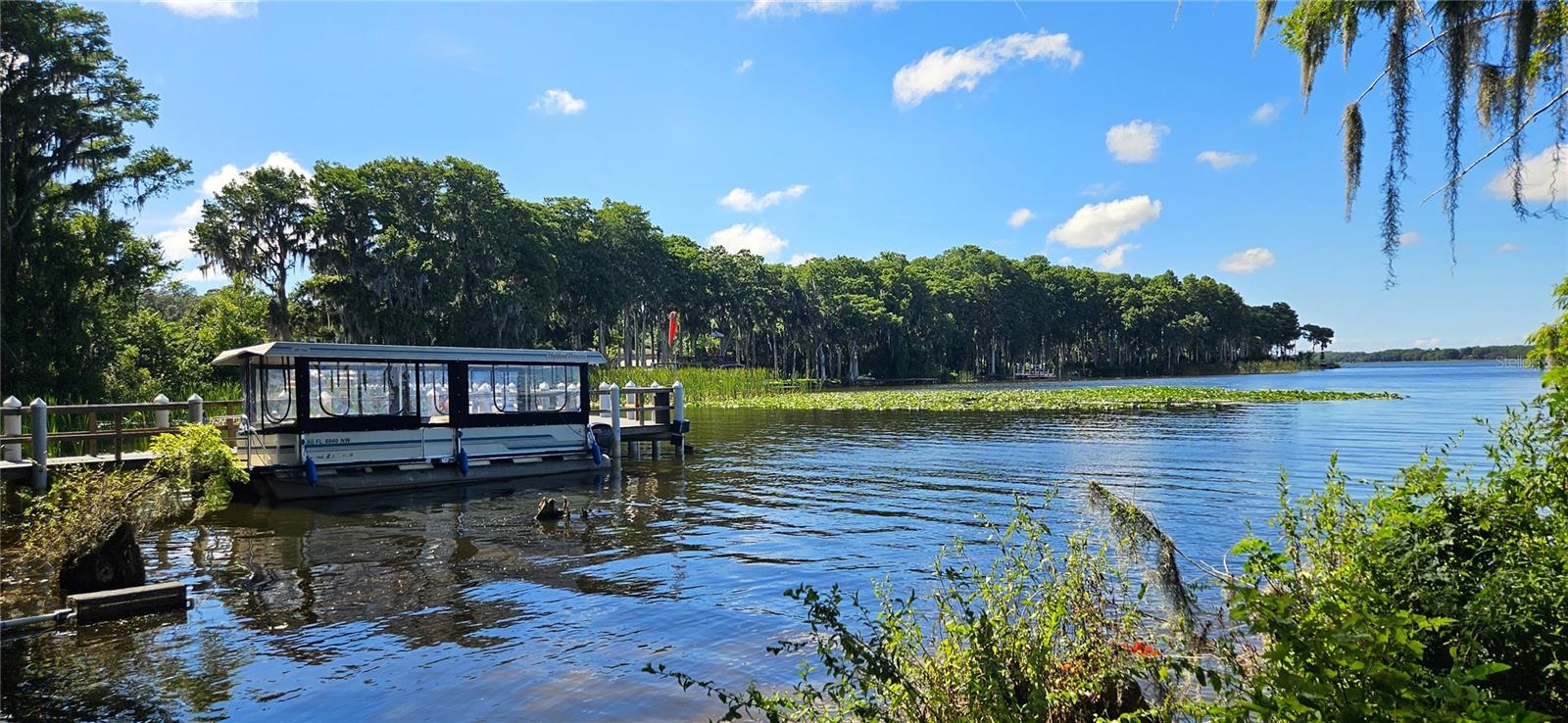 119 STAFFORD DR, PALM HARBOR, FL, 34684