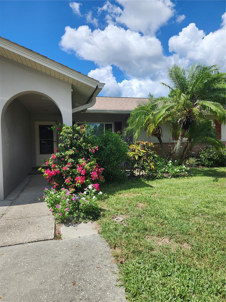 119 STAFFORD DR, PALM HARBOR, FL, 34684