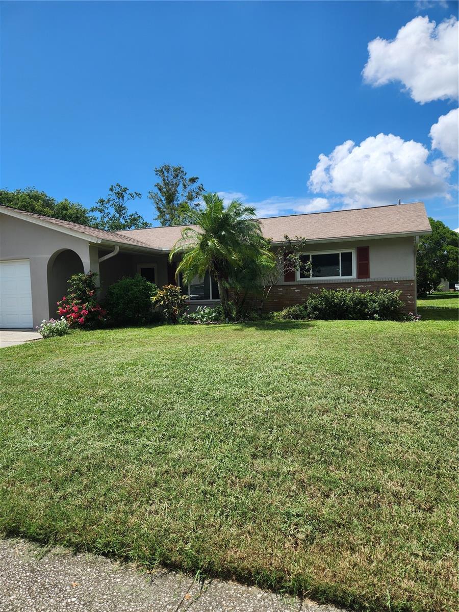 119 STAFFORD DR, PALM HARBOR, FL, 34684