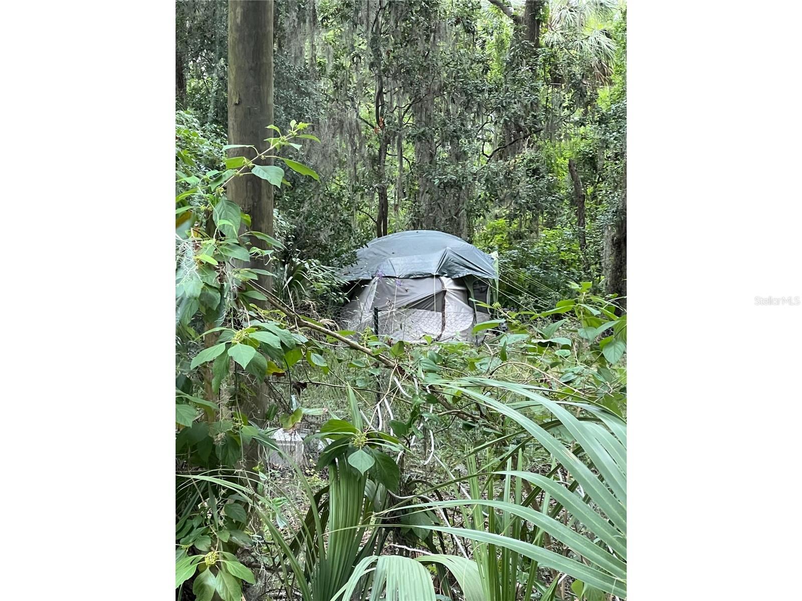 16249 NE 36TH AVE, CITRA, FL, 32113