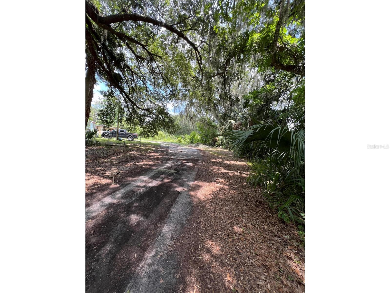 16249 NE 36TH AVE, CITRA, FL, 32113