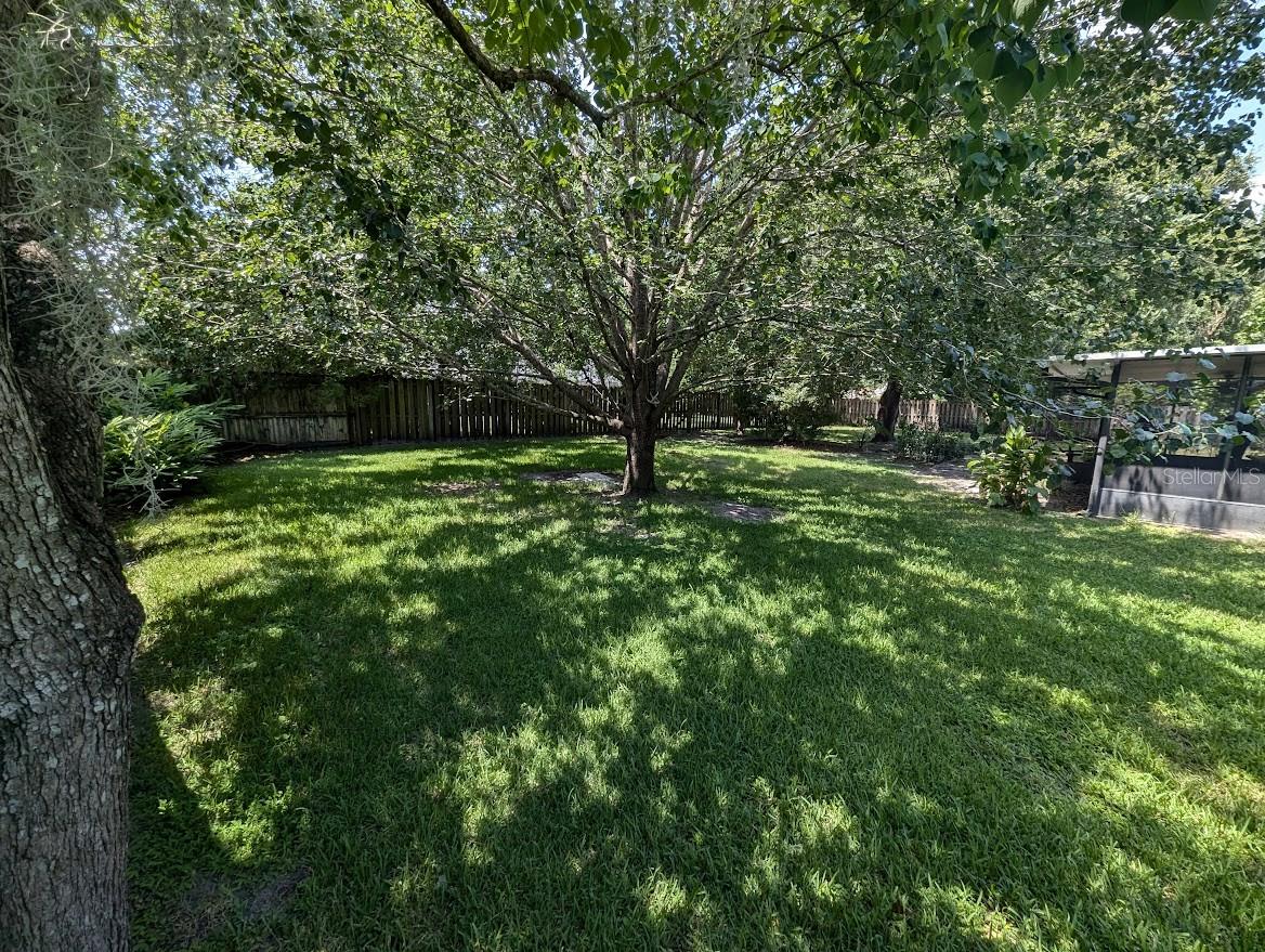 6113 NW 113TH PL, ALACHUA, FL, 32615