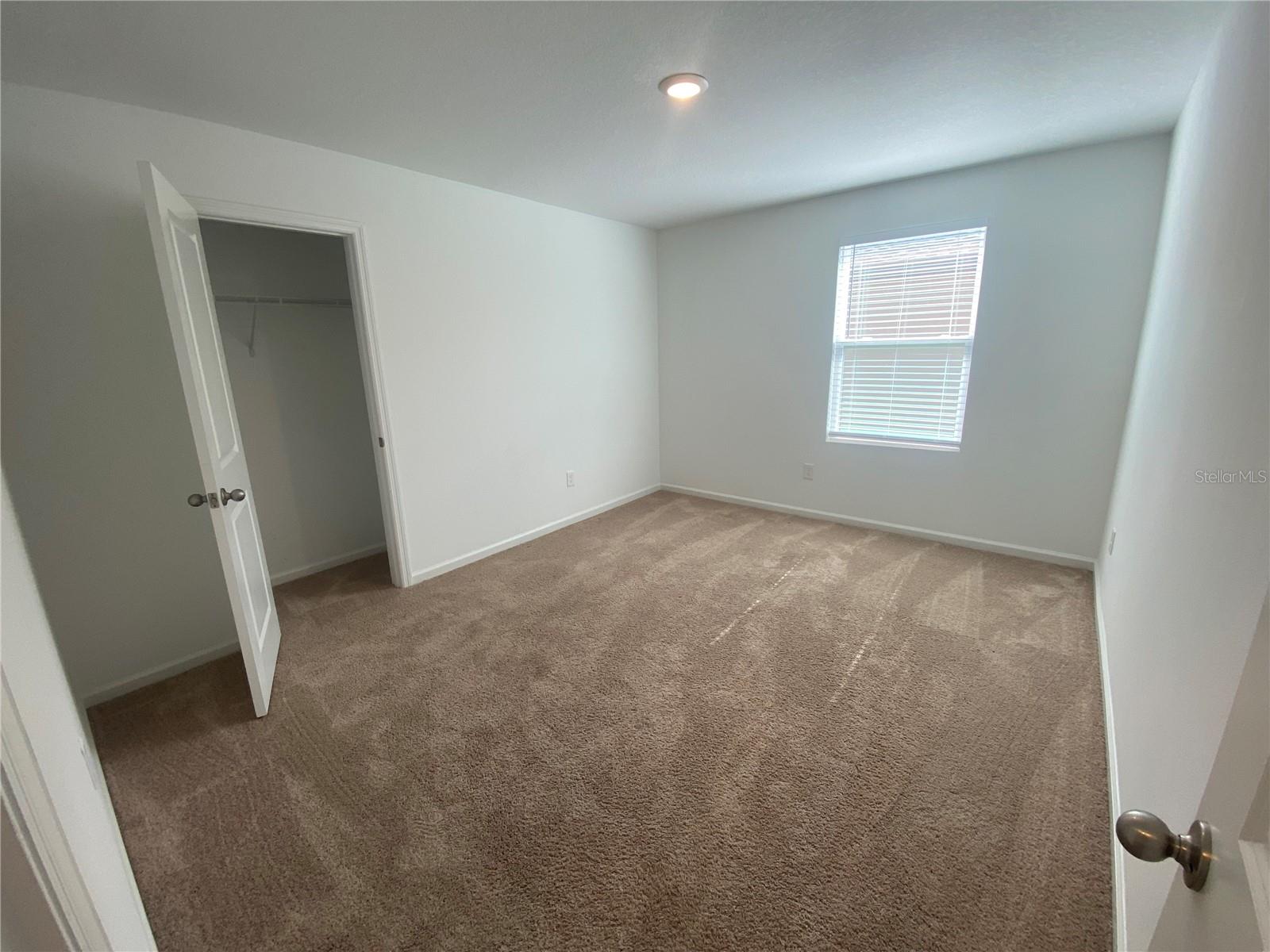 35182 WHITE WATER LILY WAY, ZEPHYRHILLS, FL, 33541