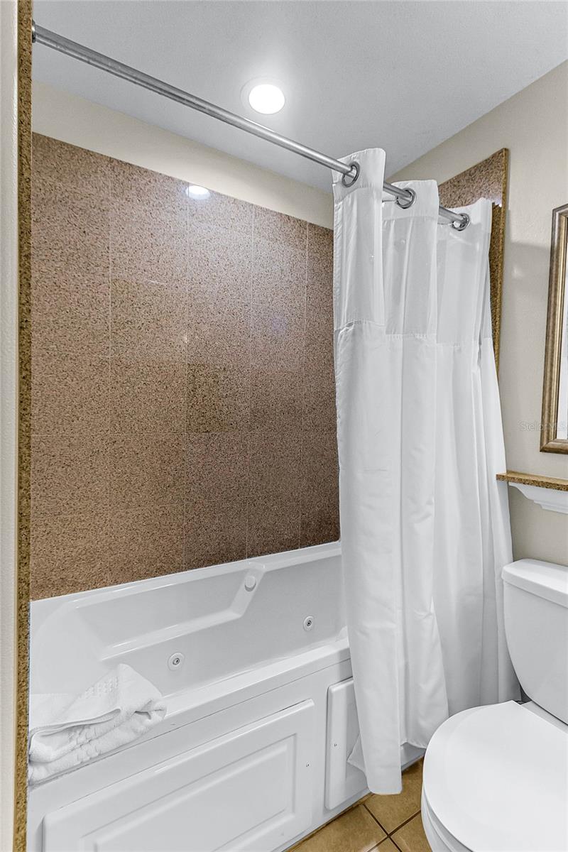 13415 BLUE HERON BEACH DR #208, ORLANDO, FL, 32821