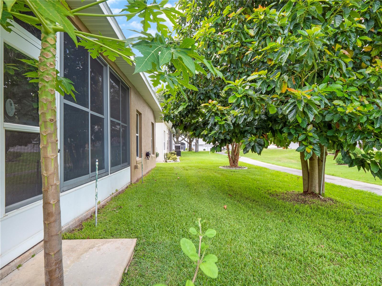 4835 KELSO ST, LEESBURG, FL, 34748
