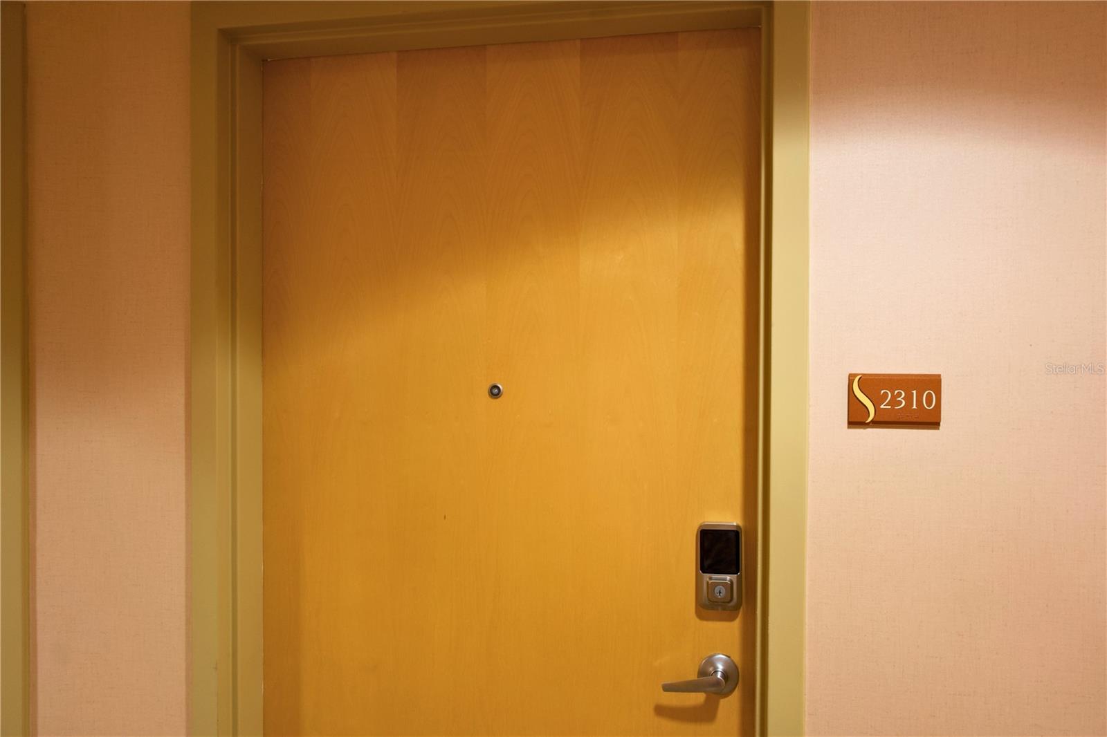 155 S COURT AVE #2310, ORLANDO, FL, 32801