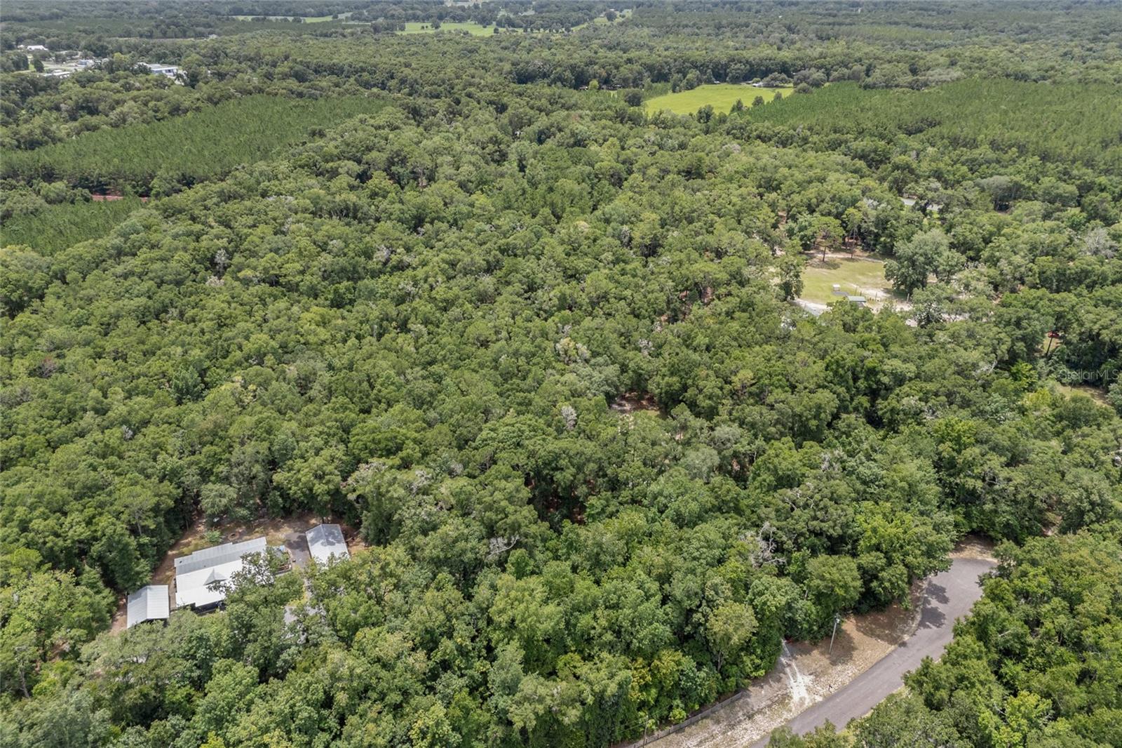 26903 NW 206TH PL, HIGH SPRINGS, FL, 32643